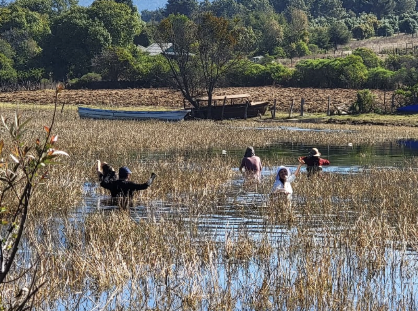 Ecología, Manejo y Conservación de Humedales - Cátedra Espejo